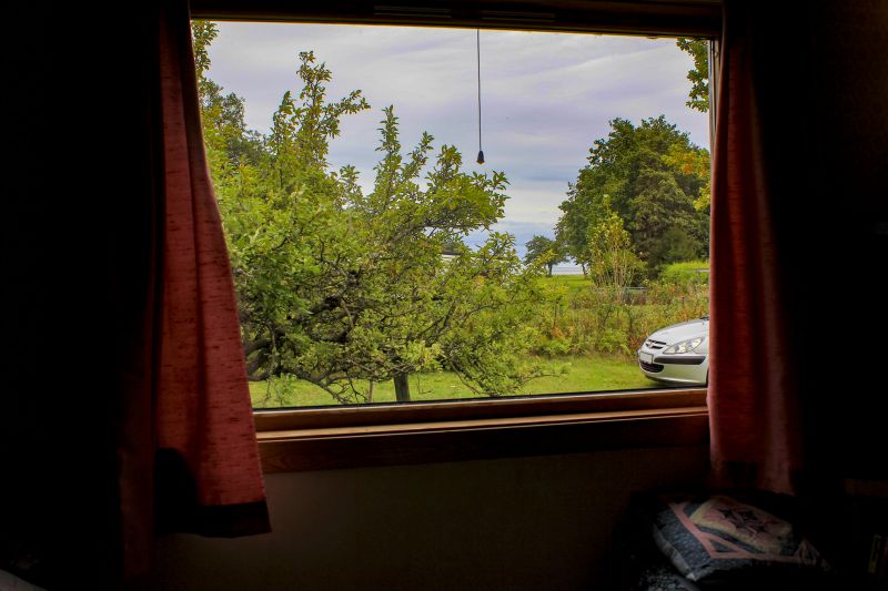 Best Window Replacement Contractors in Alamosa, CO